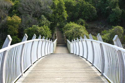 Boardwalk amidst trees