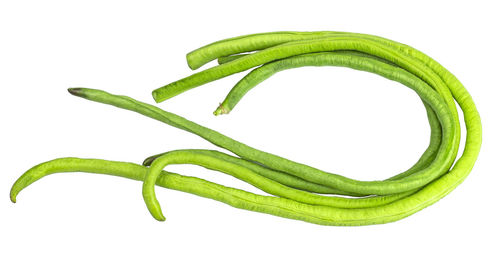 Close-up of green leaf against white background