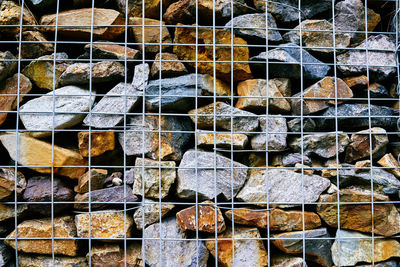 Full frame shot of leaves