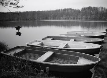 Calm lake with trees in background