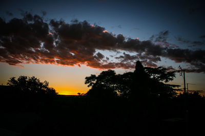 Silhouette trees against sky during sunset