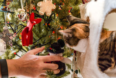 Close-up of man with dog on christmas tree