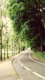 Road amidst trees