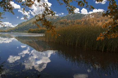 Scenic view of lake by trees against sky