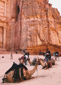 Group of people in a desert