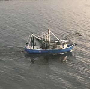 High angle view of boats in calm sea