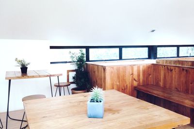 Potted plant on table at home