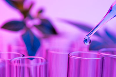 Close-up of liquid pouring from pipette in test tube