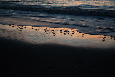 Scenic view of beach against sky during sunset