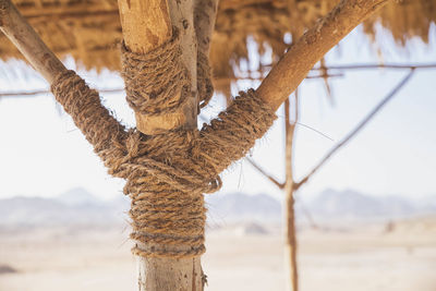 Wooden tent for relaxing in the national park ras-mohammed in egypt