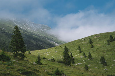 Scenic view of landscape against sky