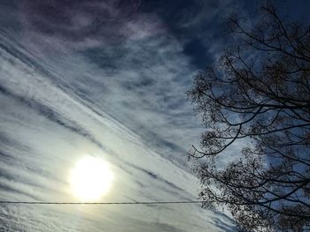 Low angle view of trees against sky