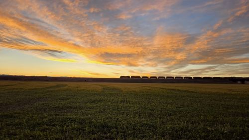 Scenic view of field against sky during sunset