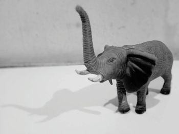 Close-up of elephant animal toy