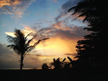 Low angle view of silhouette palm trees against sky at sunset