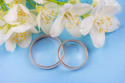 High angle view of white flowers on table