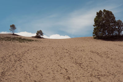 Scenic view of desert against sky