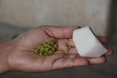 Close-up of hand holding apple