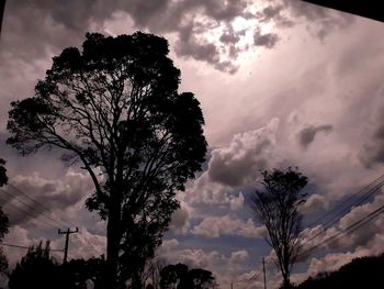 Low angle view of silhouette tree against sky