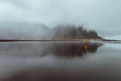 Rear view of man walking on shore at beach