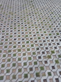 Full frame shot of pattern on floor