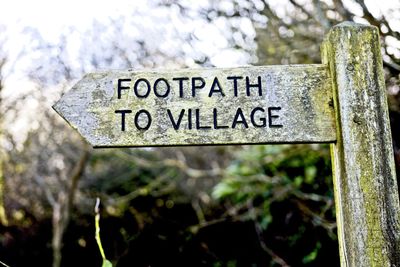 Close-up of information sign against trees