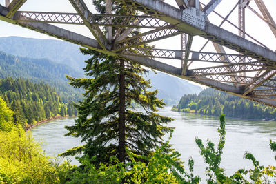 Low angle view of bridge