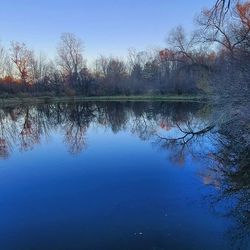 Reflection of trees in calm lake