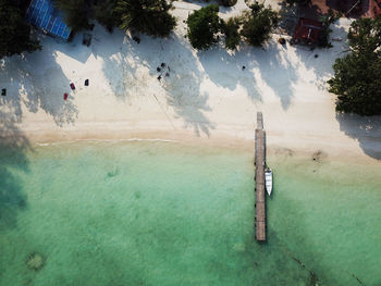 High angle view of trees on beach