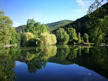 Scenic view of lake by trees against sky