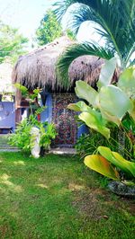 thatched roof