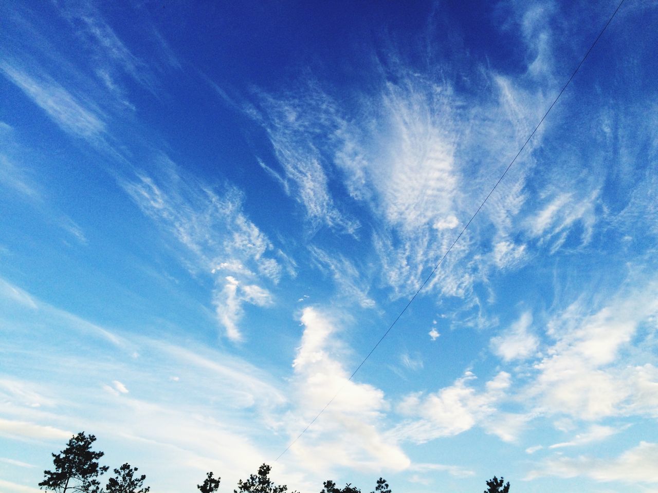 low angle view, blue, sky, cloud - sky, beauty in nature, tranquility, tree, nature, cloud, silhouette, scenics, day, outdoors, tranquil scene, cloudy, no people, high section, growth, sunlight, idyllic