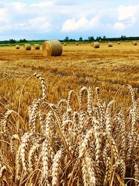 Hay bales on field against sky