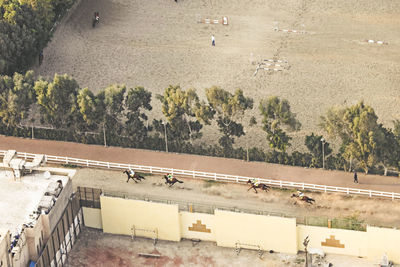 High angle view of horse racing