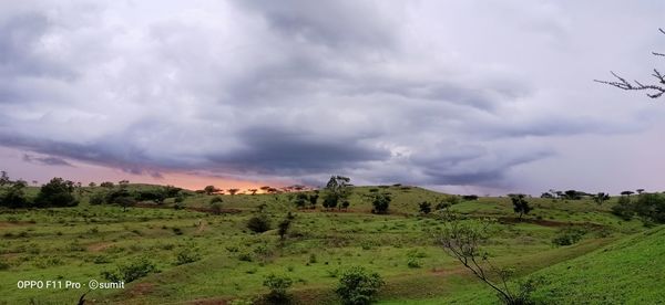 Panoramic shot of trees on field against sky