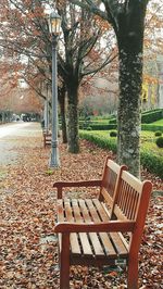 Chairs and table in park during autumn