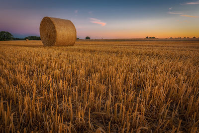 Straw bale on mowed field after sundown
