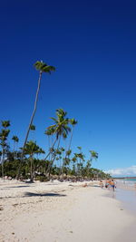 Palm trees on beach against clear blue sky