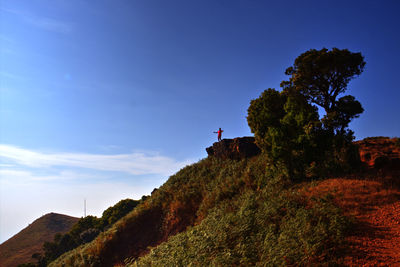 Man on tree by mountain against sky