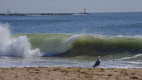 Waves splashing on shore