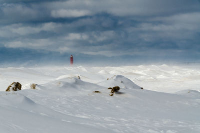 View of birds flying over snow covered landscape