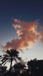 Low angle view of palm trees against sky during sunset