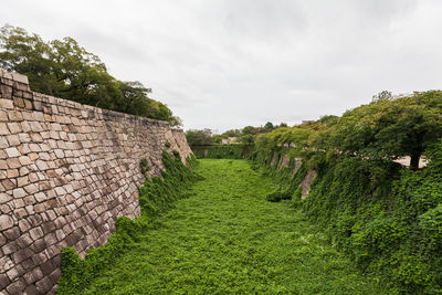 Scenic view of farm against sky