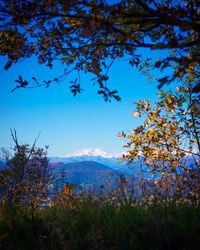 Scenic view of mountains against clear blue sky
