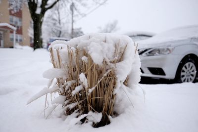 Snow covered car