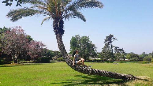 Man sitting on palm tree in field against sky