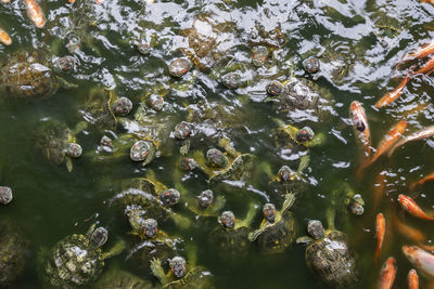 Full frame shot of water