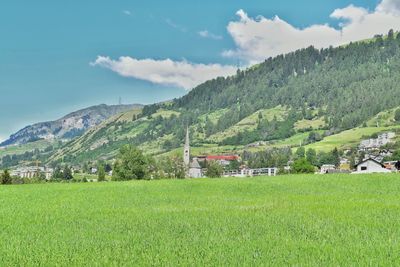 Scenic view of agricultural field and houses against sky
