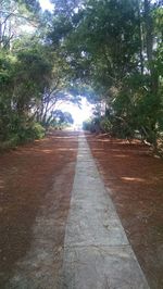 Road amidst trees against sky