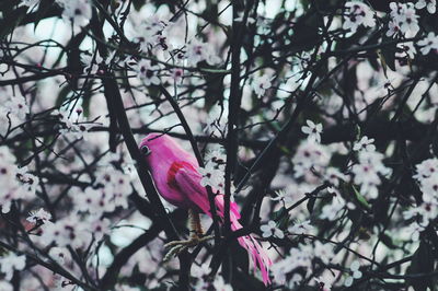 Close-up of artificial pink bird perching on tree